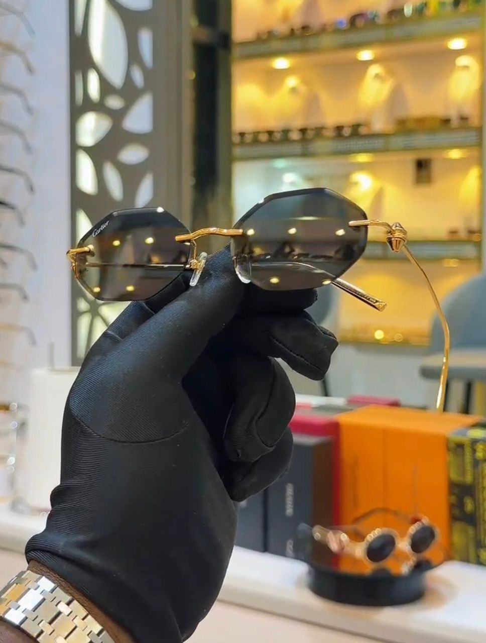 Vision Luxe